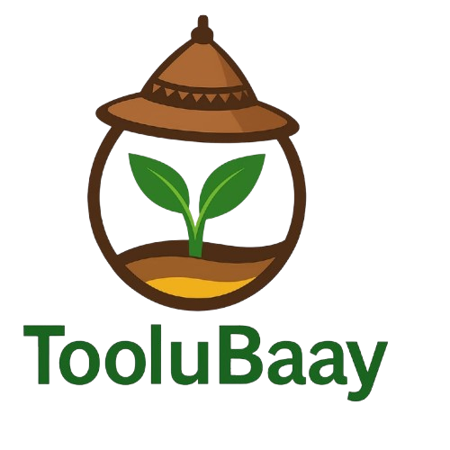 Logo TooluBaay